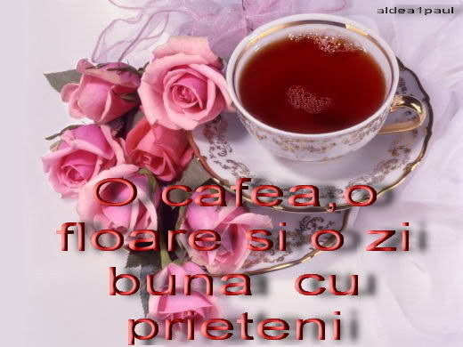 a6a10a9014b3de69476c692d0ef992ea_we