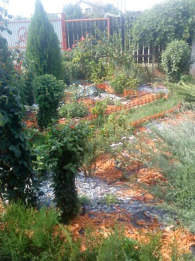 04 (201); gradinita flori 2010,toamna
