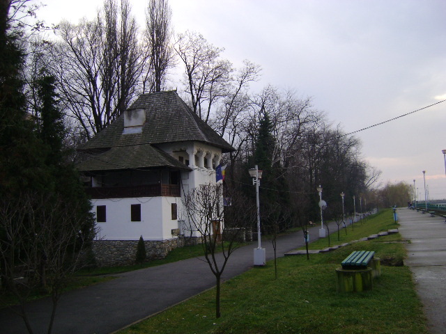 DSC04196