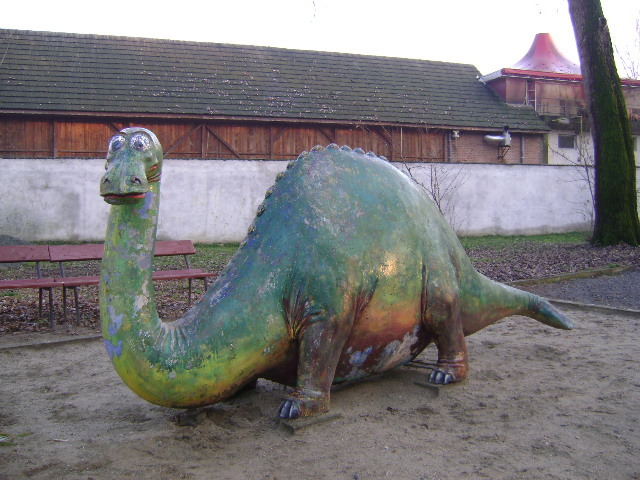 DSC04257 - TARGU JIU