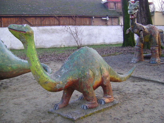 DSC04258 - TARGU JIU