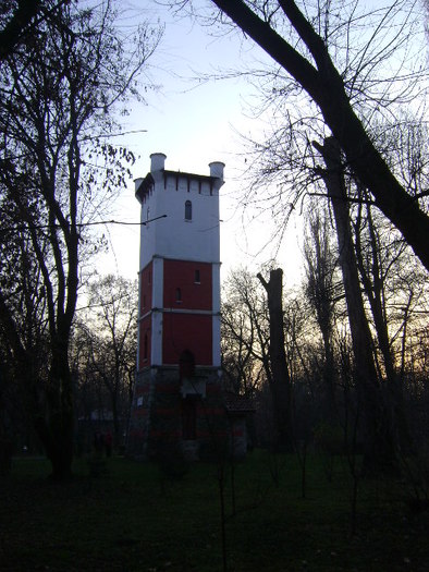 DSC04267