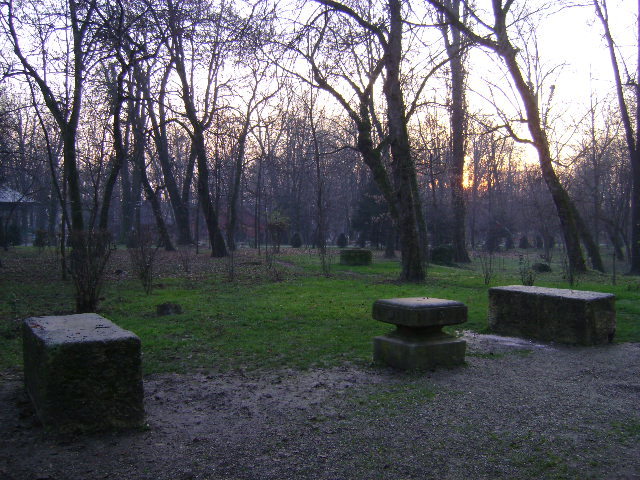 DSC04273