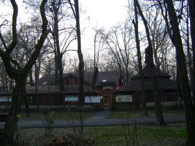 DSC04282