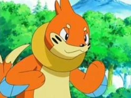 buizel ♂ lvl 8000 stie toate miscarile de apa plus unda sonica!