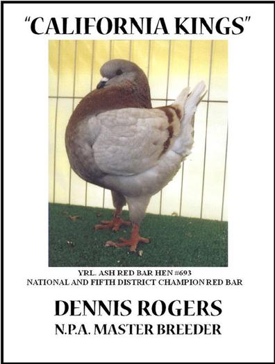 600_rogers-2010 - porumbei king Denis Rogers