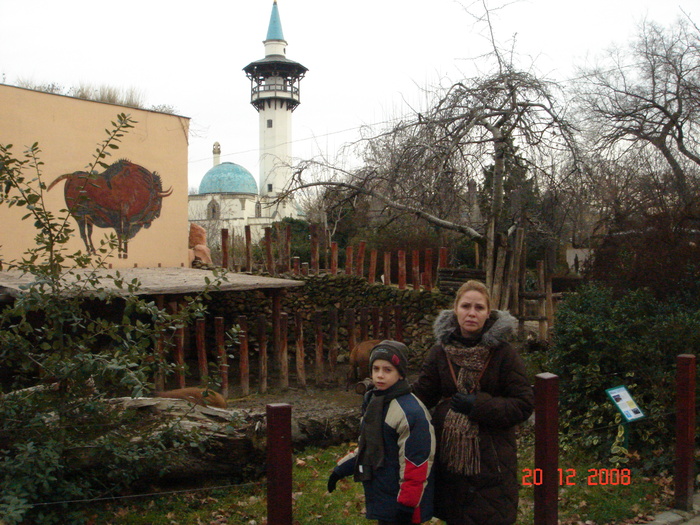 Cu Vlad in Gradina Zoologica