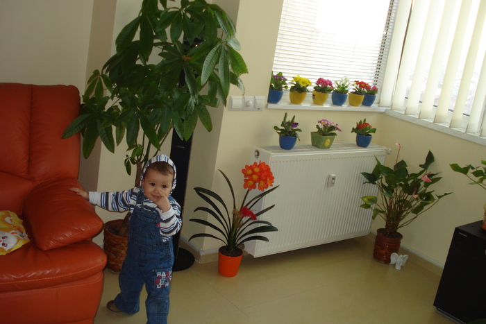 STIU CARE E NASUL MEU:)