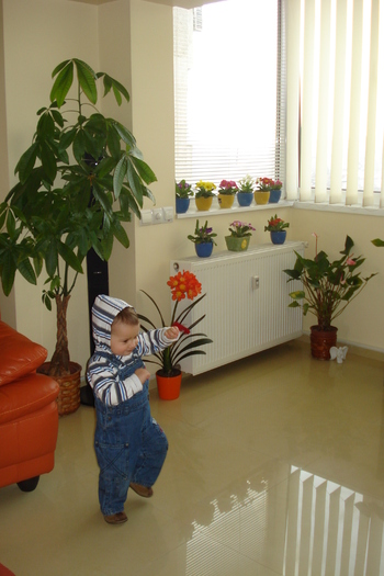 IMI IAU VITEZA:)