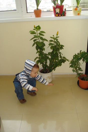 HOPA MITICA:)