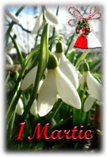 imagesCA5W76RY