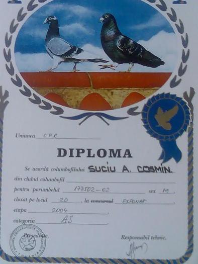 177502-02(locu20 in expo. la cat. as) - diplome si cupe