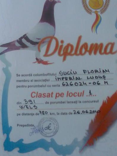 626024-06(locu1 wels(780km)) - diplome si cupe