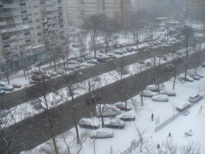 P1320730 - Iarna in Bucuresti 2011 feb 22