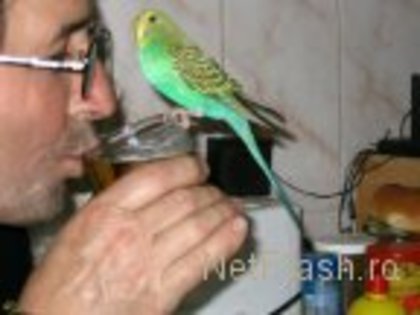 imgZMub2M - animalutze