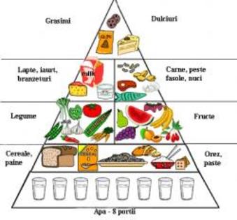 Piramida alimentelor - Alimentele si importanta lor