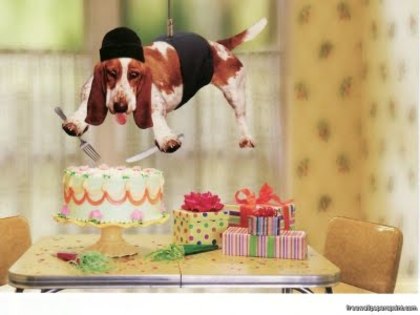 Funny Dog Happy Birthday2222 - Funny
