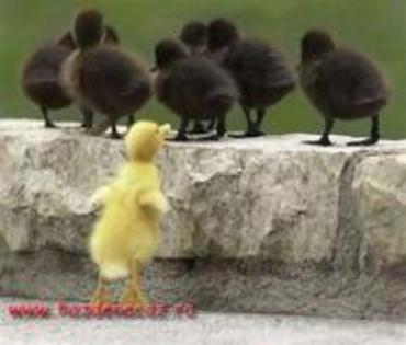 TNPIRGOCDRCJSQYBEON - Funny