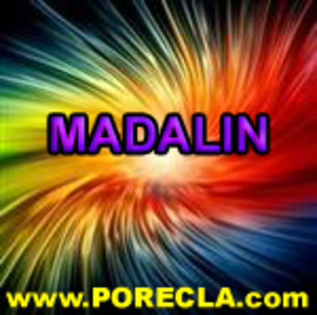 240-MADALIN profesor