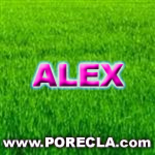 107-ALEX avatare iarba mare