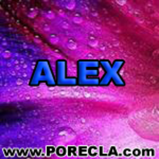 107-ALEX ingineru - Poze cu numele Alex