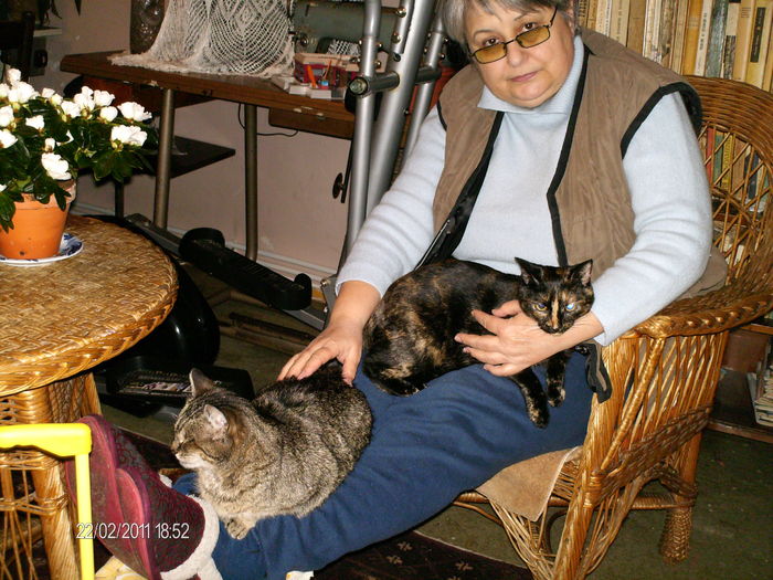 cele trei gratii...:) - pisicile familiei