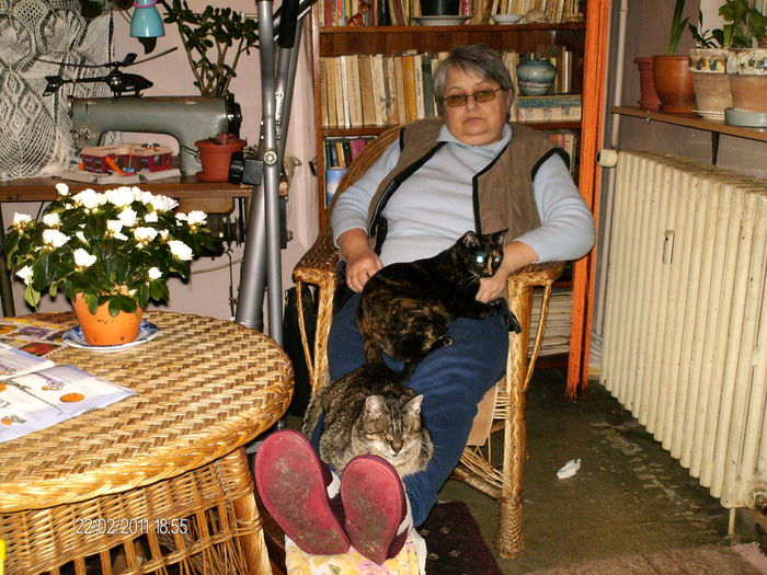 trei gratii visatoare..:)