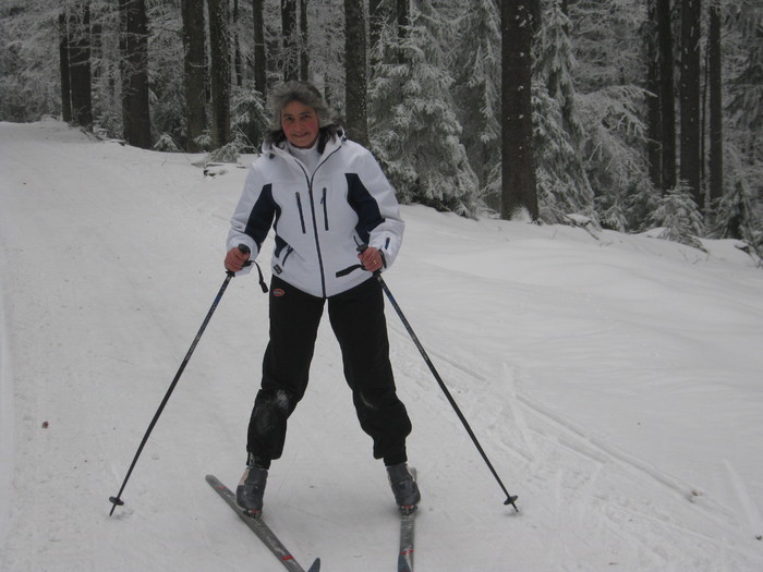 dar frana tine bine-desi e zapada dar frana tine bine-desi e zapada