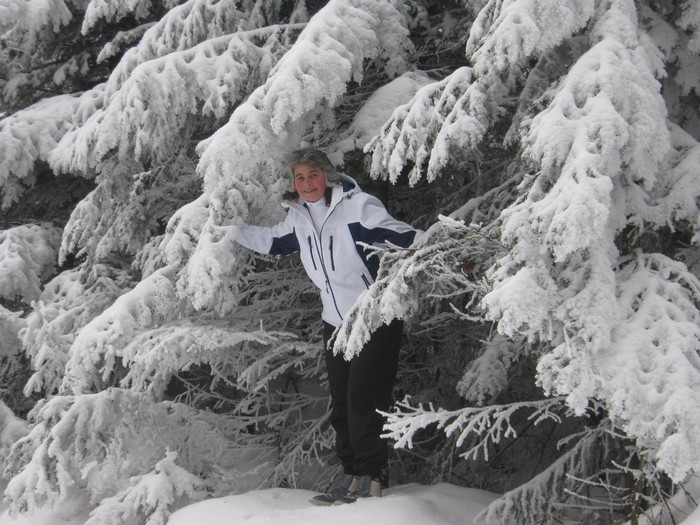 edit a urcat in brad edit a urcat in brad