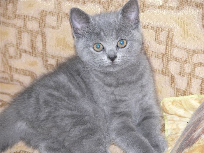 f507715f1ac841b79948e25e09fbe796