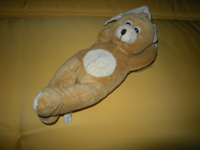 Picture 029