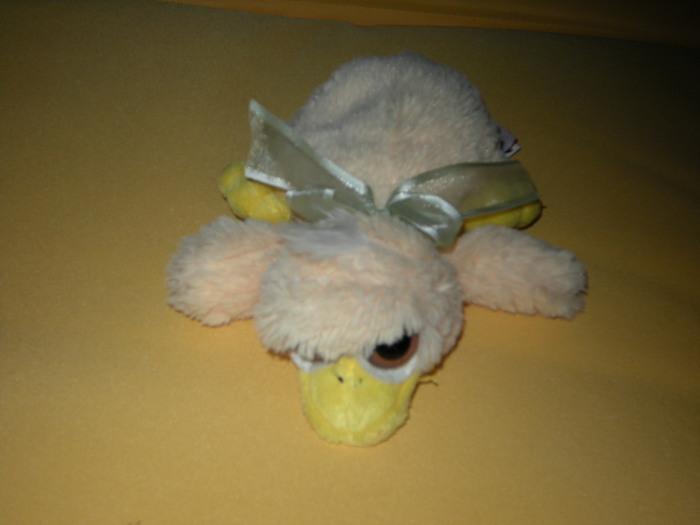 Picture 034