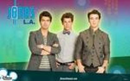 images - jonas brother