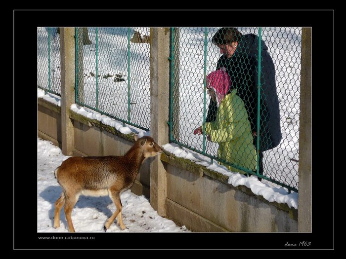 R  P1020917 - ro - craiova