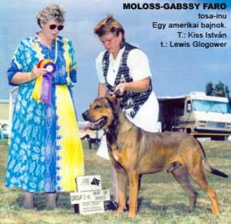 Moloss-Gabssy Faro