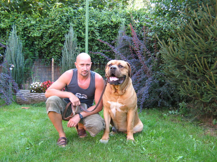 IMG_4097 - A Tosa Inu pictures