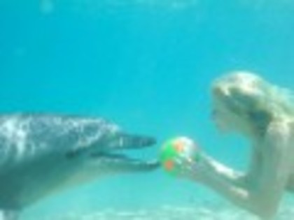 120px-Rikki-and-a-dolphin-h2o-just-add-water-9464214-320-240 - H2o