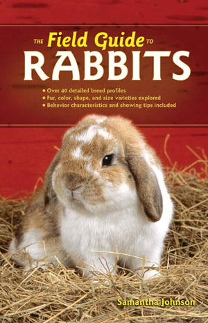 Field Guide To Rabbits