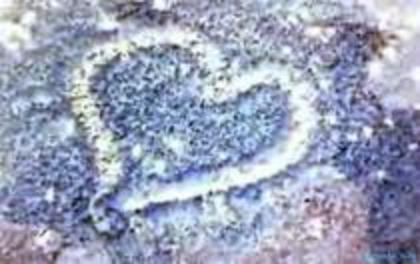 VCEPVKZSDNKKZHGSMUF - H2o