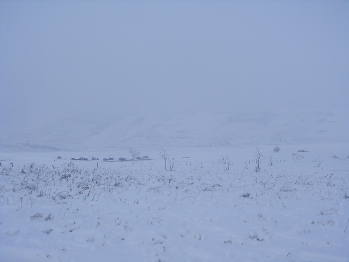  - plimbare iarna 2010-2011