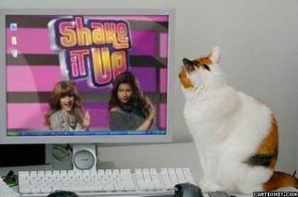 shake it up - shake it up