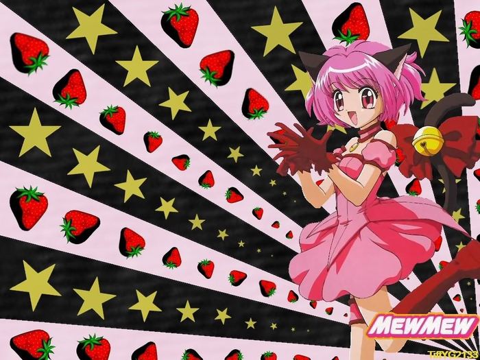 1024-by-768-489847-20070128212327 - tokyo mew mew