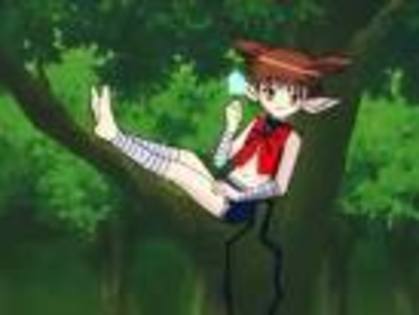 hjm,kbjnkljk - tokyo mew mew