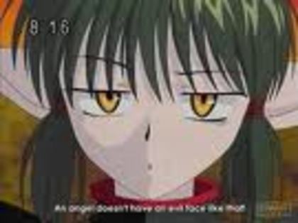 hjy - tokyo mew mew