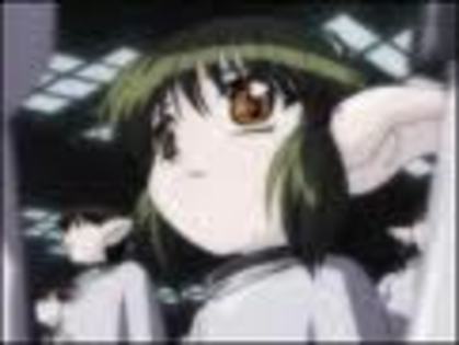 jlkghk - tokyo mew mew