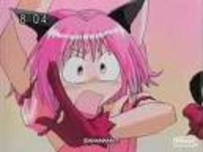 jmhjm - tokyo mew mew