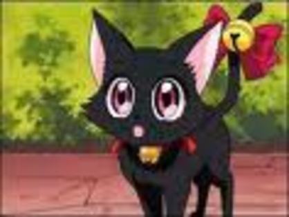 kjjhk - tokyo mew mew