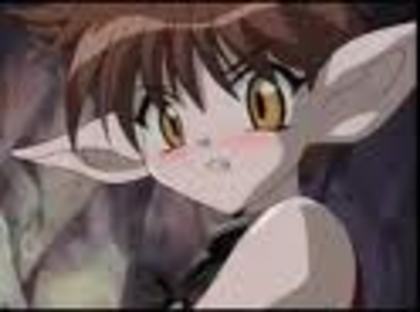 mbhn  n - tokyo mew mew