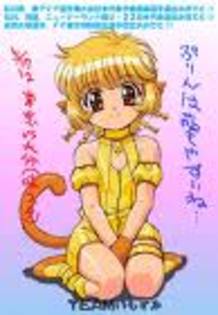 mew pudding - tokyo mew mew