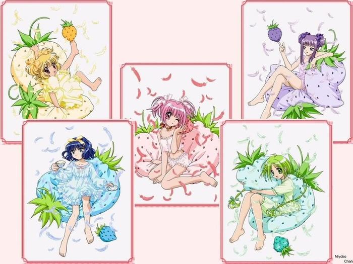 Tokyo_Mew_Mew-44499